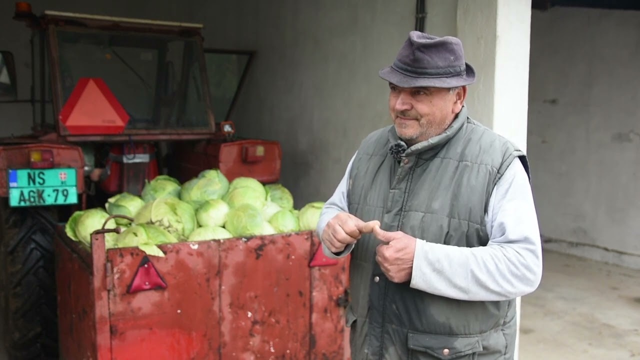 Nije svaki kupus FUTOŠKI! Važno je znati koji je pravi!