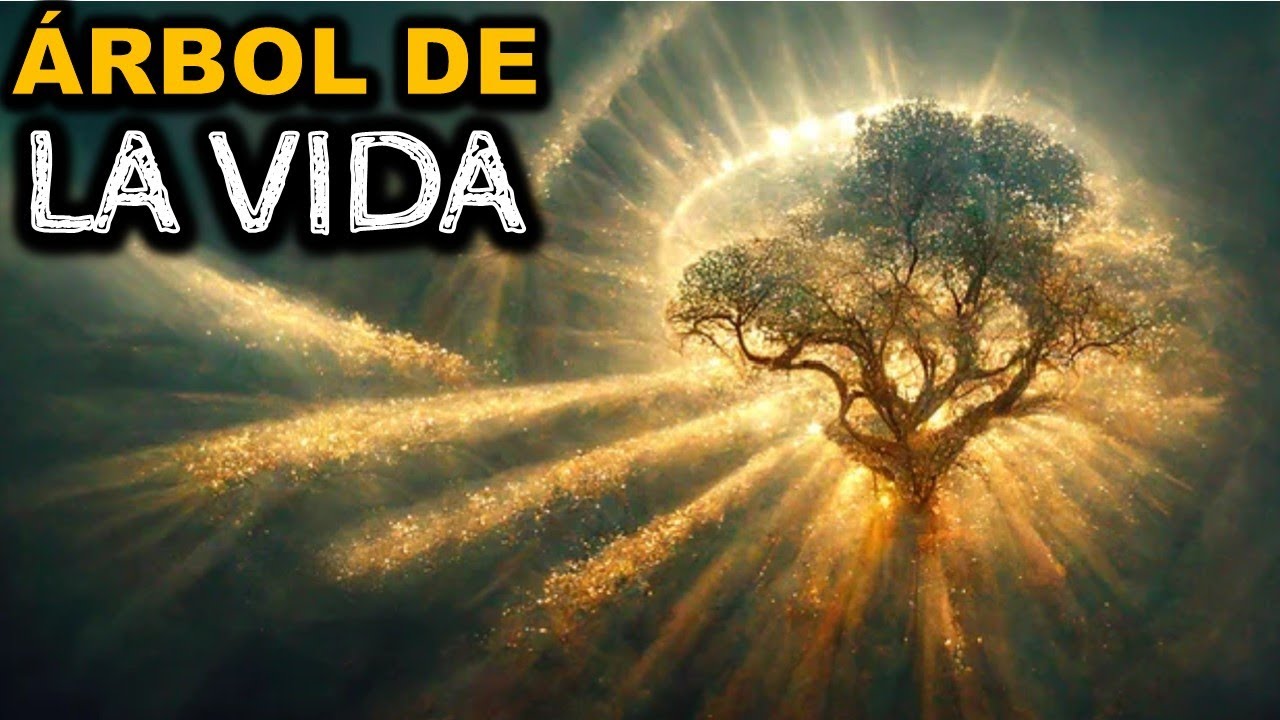 Estudiamos el Árbol de la Vida en la Biblia (Esto Fue lo que Descubrimos)
