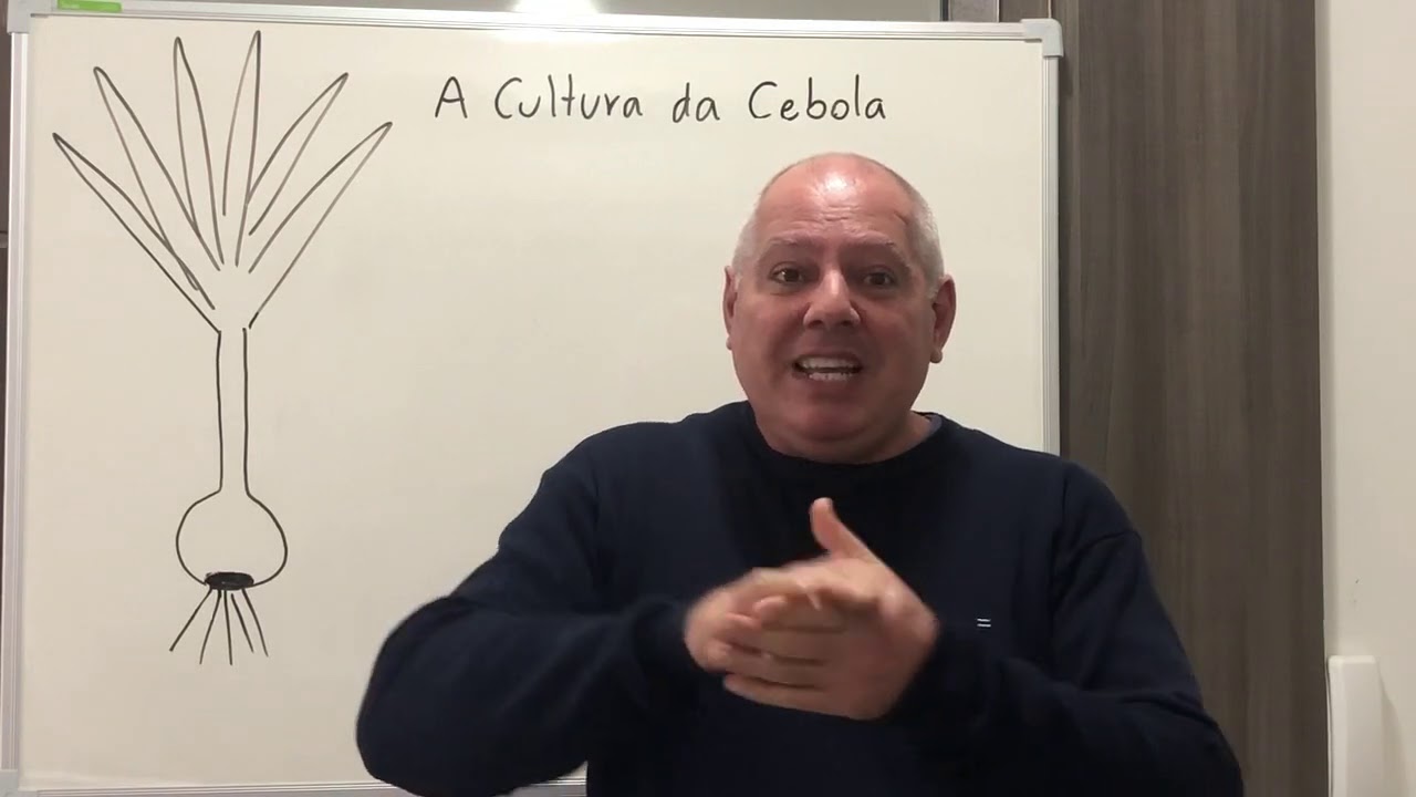 A Cultura da Cebola - Prof  Miguel