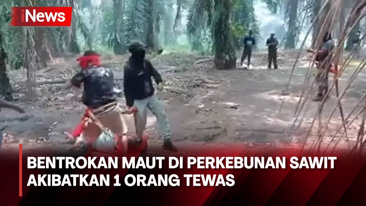 Bentrokan Maut di Kebun Sawit Seruyan Kalteng, 1 Orang Tewas
