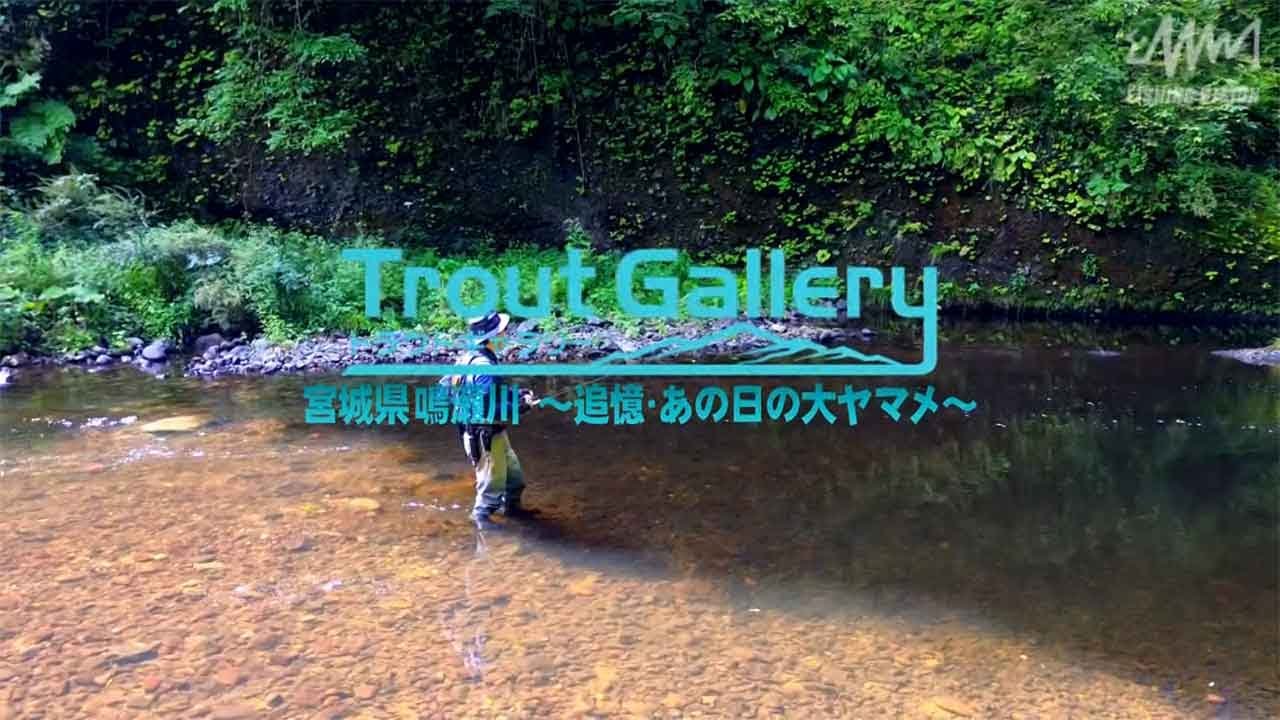 釣りビジョン「トラウトギャラリー」ダイジェスト映像　宮城県鳴瀬川 ～追憶・あの日の大ヤマメ～　出演者：平本仁