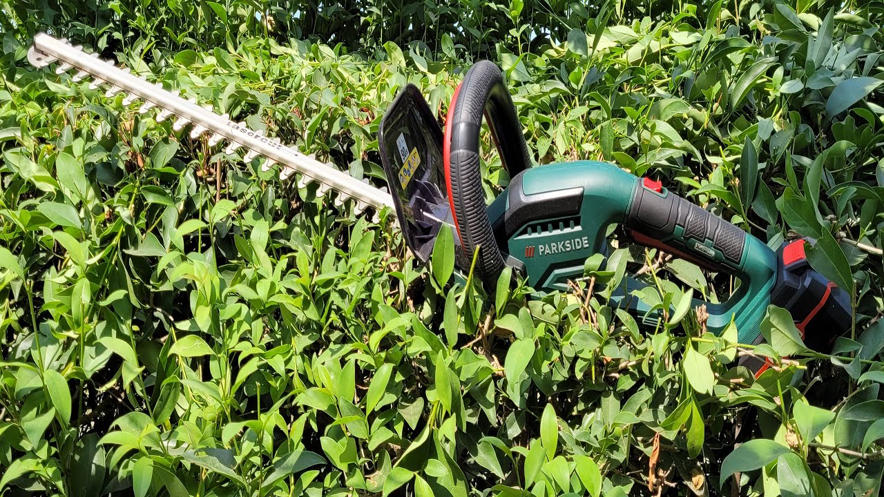 Parkside Cordless Hedge Trimmer PHSA 20 LI A1 TESTING