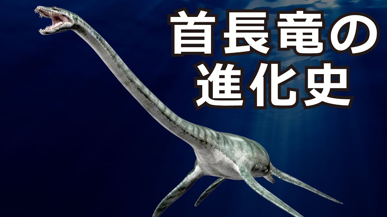 フタバスズキリュウ～新種と記載されるまで38年～