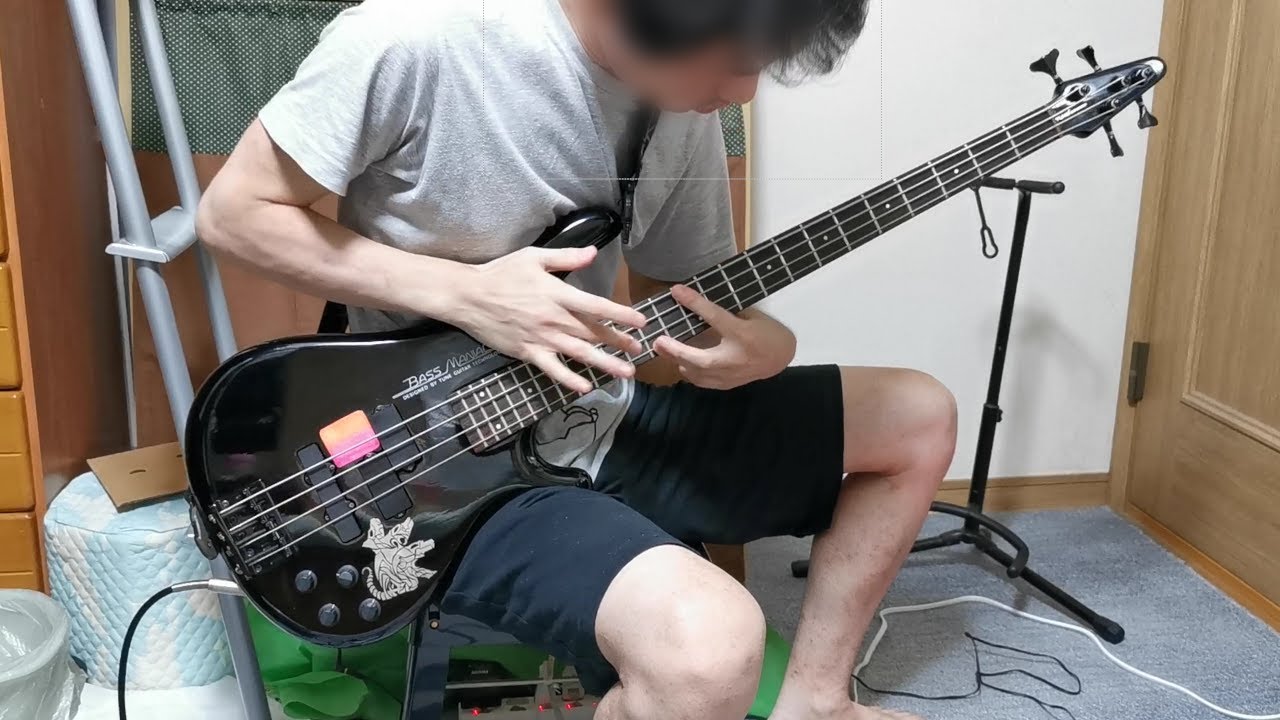 HIBRIA - Tiger Punch　Bass Cover
