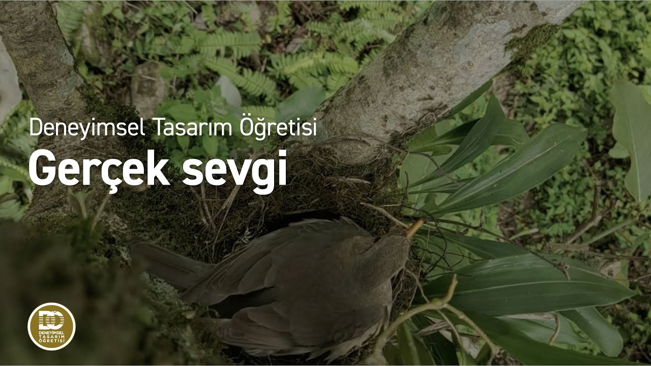 Deneyimsel Tasarım &Ouml;ğretisi - Ger&ccedil;ek sevgi