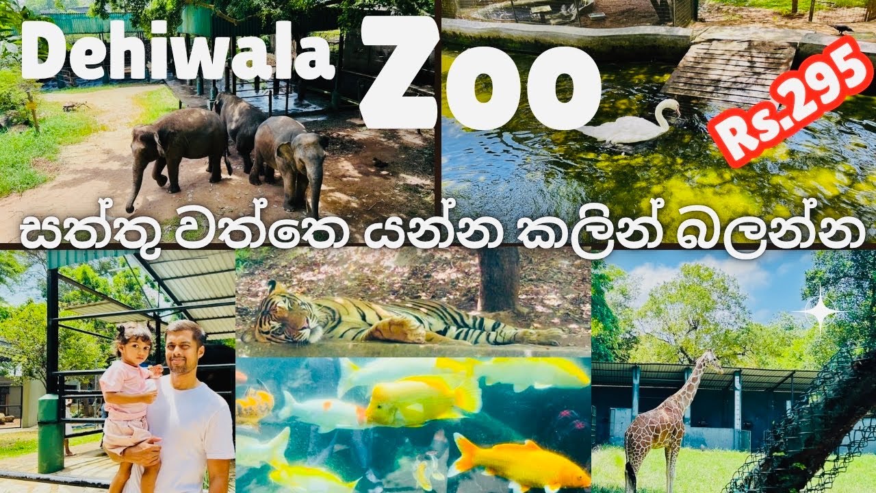 Dehiwala Zoo😍🥰🐘🦁|zoological garden Sri Lanka 🇱🇰 |සත්තු වත්ත🐯🦍🐒