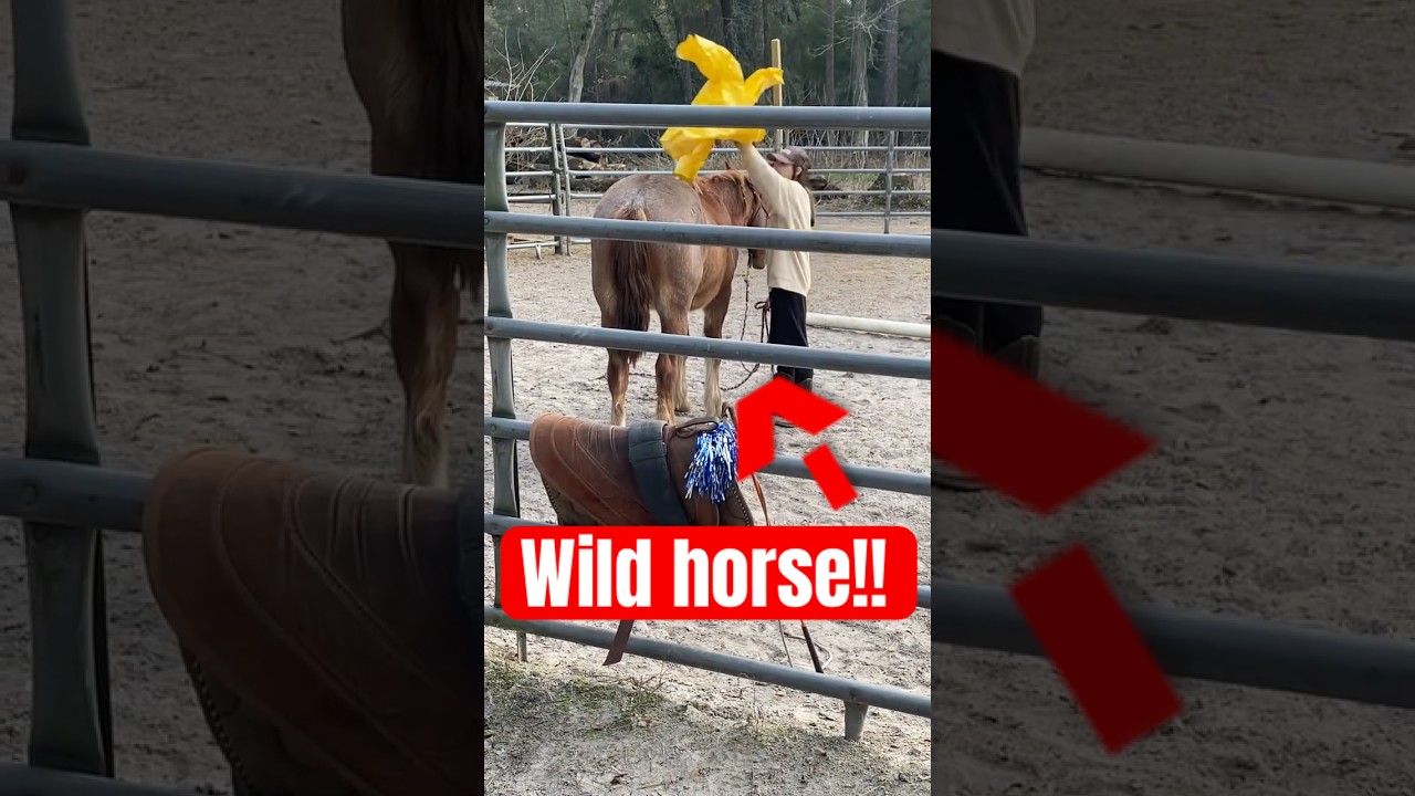 I love him so much!♥️