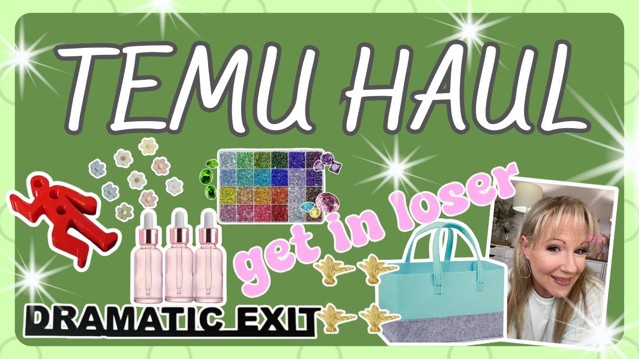 NEW TEMU HAUL VARIETY OF ITEMS