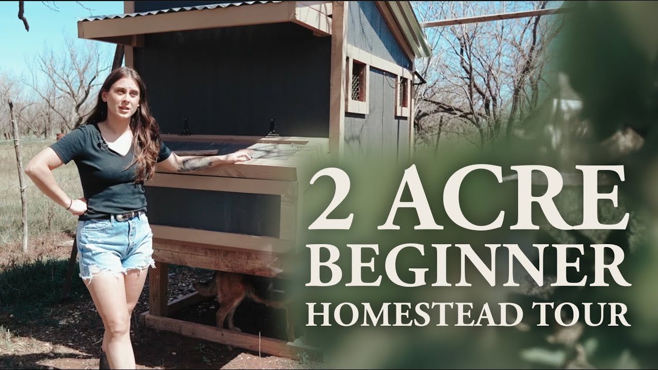 West Texas 2 Acre Homestead Tour