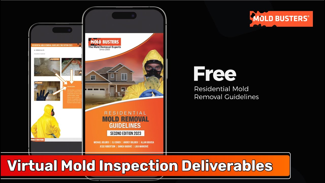Virtual Mold Inspection Deliverables - Mold Busters