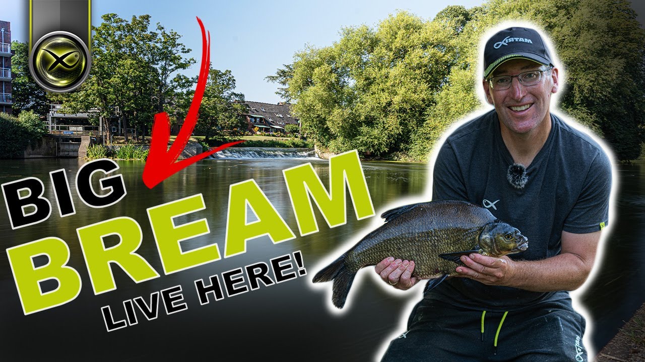 BIG BREAM FISHING IN A WEIR POOL! (With JON ARTHUR)