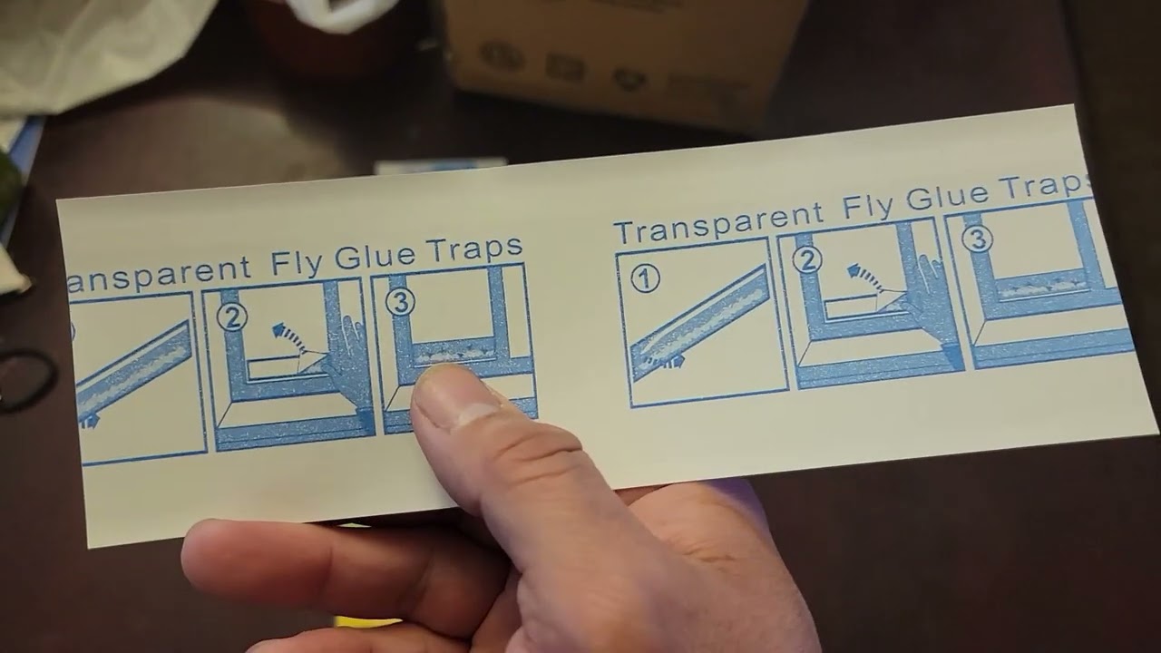 Window Fly Traps