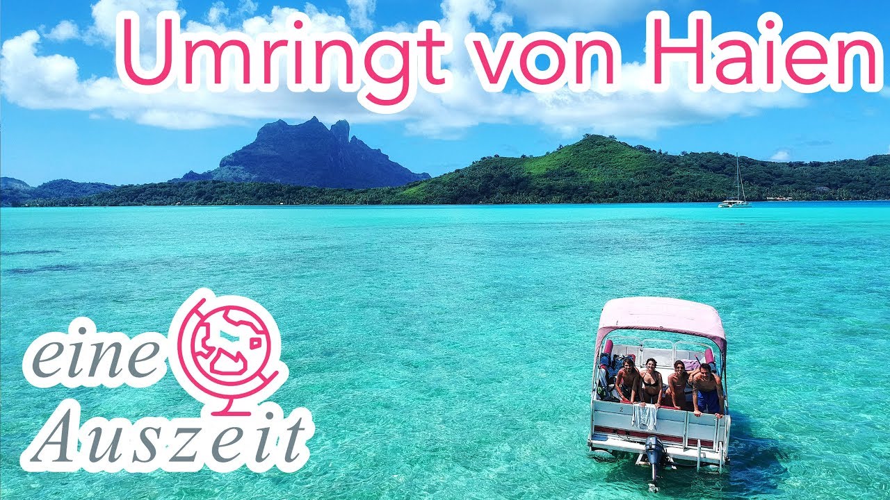 🇵🇫 Umringt von Haien - Bora Bora 4K Französisch Polynesien - Weltreise Vlog 79
