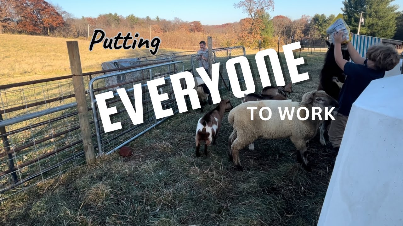 Putting Everyone to Work 