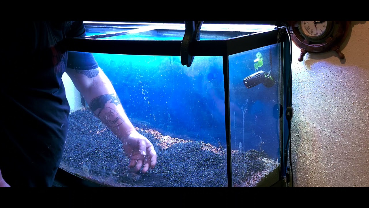 72 Bowfront All Cryptocoryne Planted tank build from start to finish
