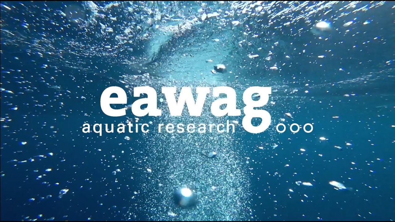 Prof. Alexandria B. Boehm: Influenza in the environment: wastewater, fomites, and wetlands