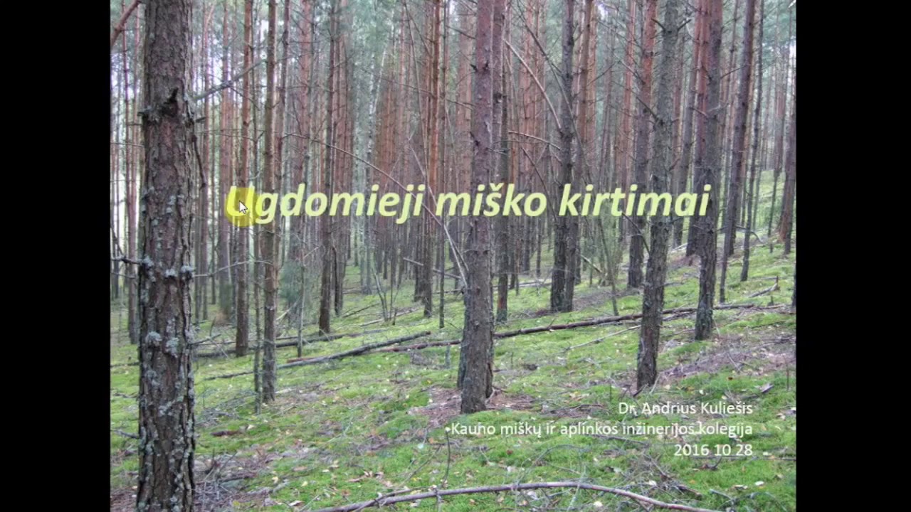 Mi&scaron;ko savininkų nuotoliniai mokymai: mi&scaron;ko ugdymo kirtimai