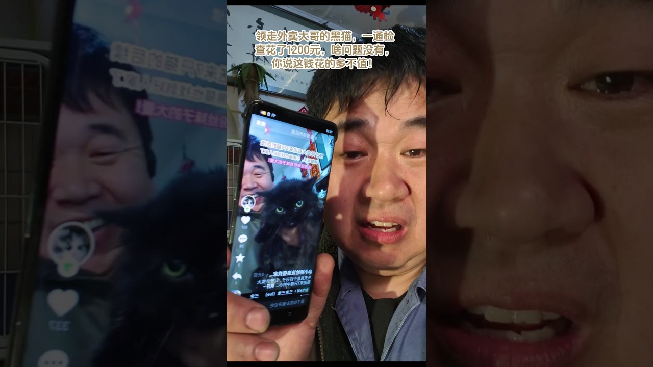 這回大家知道為什么好多撿到的流浪貓，送醫院真送不起！領走的黑貓光檢查就花了一千二百元！我還跟妹子囑咐一下，毛孩子有啥問題，身體不舒服，生病啥的帶回來我這邊給看給治，妹子不好意思麻煩……，W