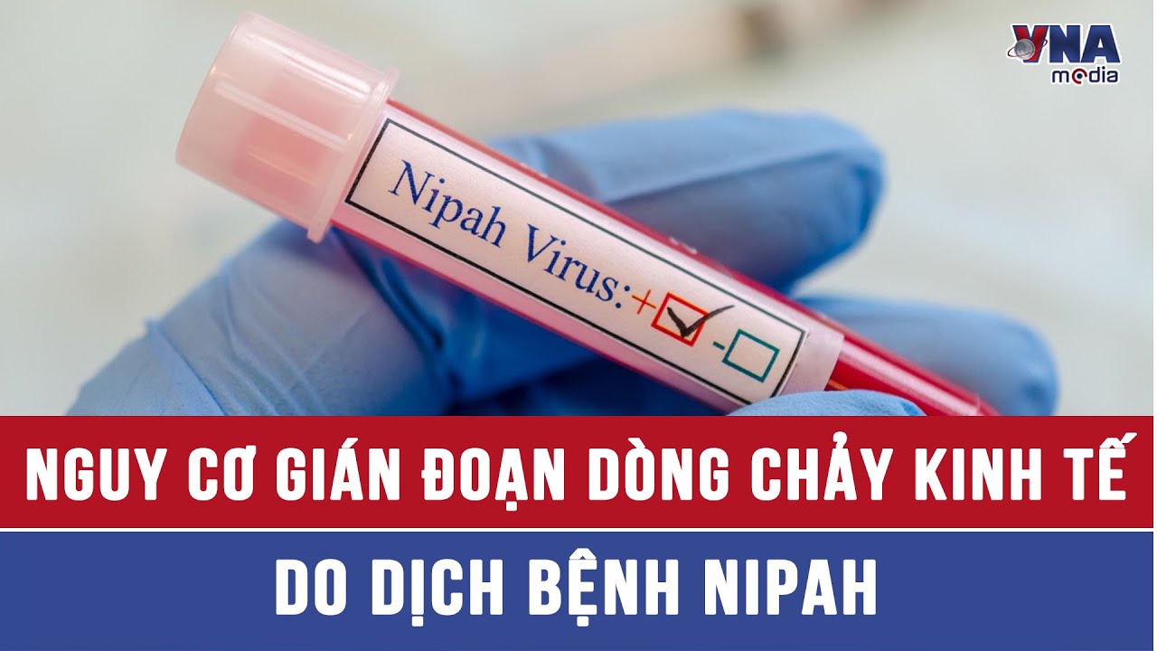 Nguy cơ gián đoạn dòng chảy kinh tế do dịch bệnh Nipah - VNAMedia