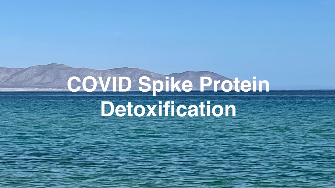 COVID Spike Protein Detoxification