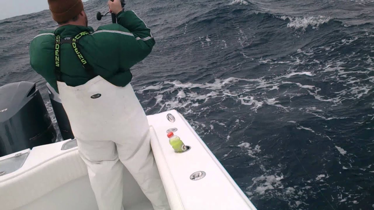 Freeman 37 jigging in rough seas