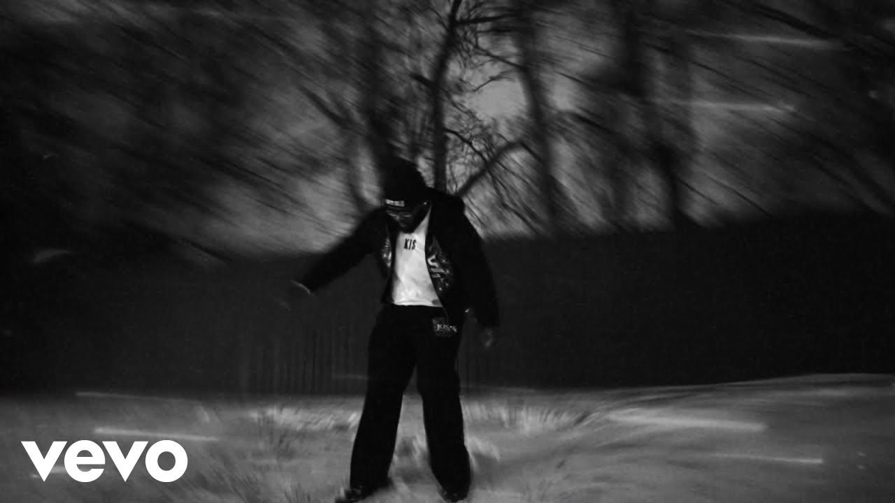 Fly Guy Richy - MORE THAN ONE
