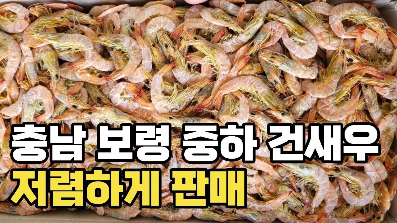 충남 보령 중하건새우 국물맛 끝판왕 오늘 특가! 한정수량입니다!