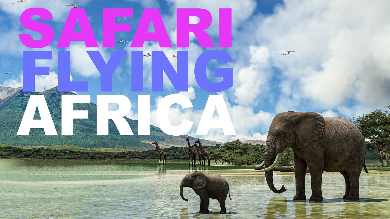 Safari Flying Africa / MSFS / Flamingos Elephants Hippo