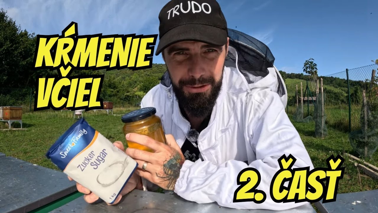 Čím kŕmim včely, aby prežili zimu? 🐝