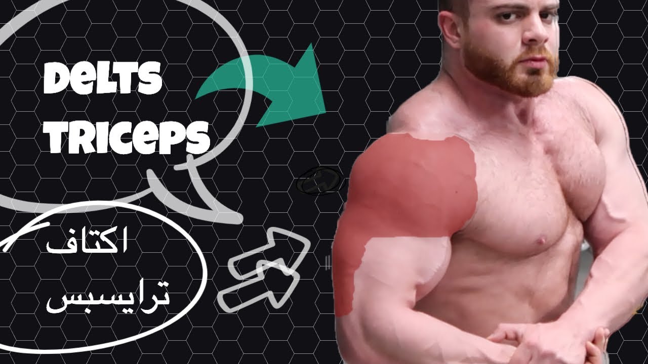 ابراز الاكتاف من جميع الجوانب وترايسبس DELTS TRICEPS