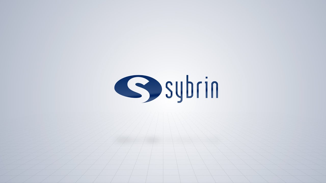 Sybrin | Business Day Focus 4.0