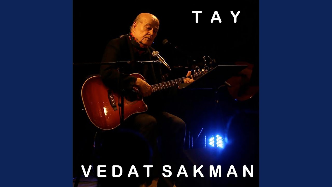 Tay (Aralık 2026 Sürümü Version)