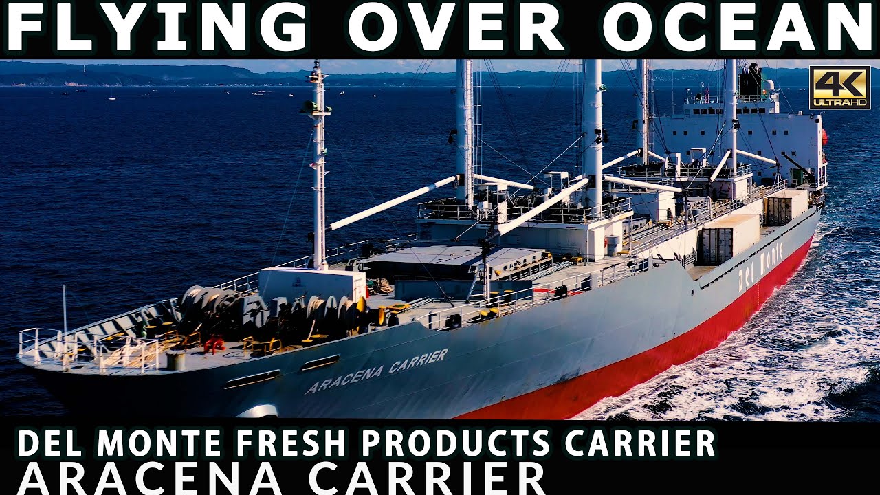 Del Monte Fresh Products and Beverages Cargo Ship in motion | Drone Flight | DJI Mavic 2 Pro