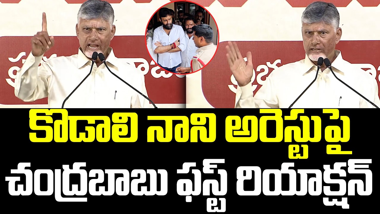 CM ChandraBabu First Reaction On Kodali Arrest | YS JAGAN || CM Chandrababu | YS Jagan | Kodali Nani