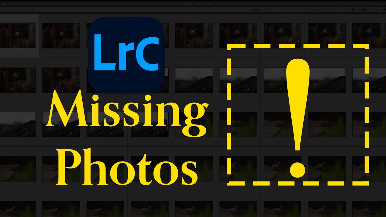 Пропавшие фотографии в Lightroom Classic