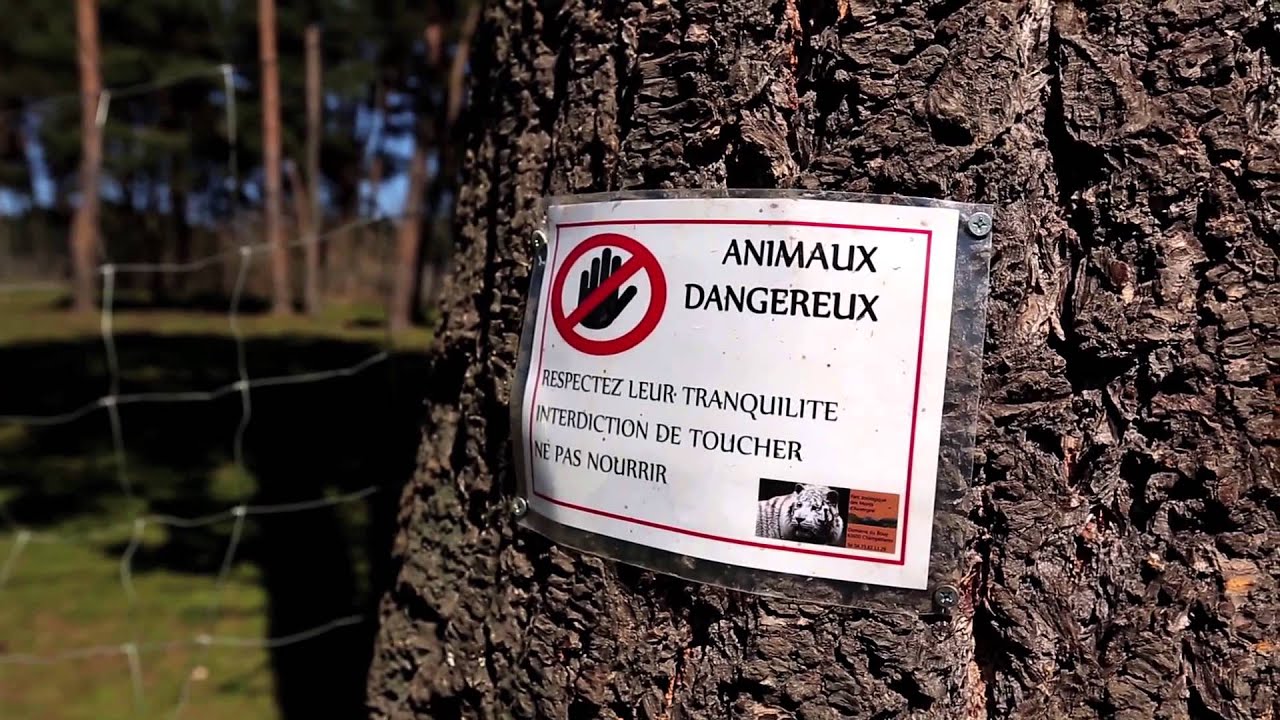 Incroyable sauvetage d'animaux sauvages au zoo du Bouy
