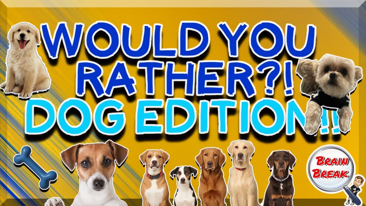 Would You Rather? Dog Edition! 🐶 This or That 🐶 Fun Fitness Games for Kids 🐶 GoNoodle 🐶 PE