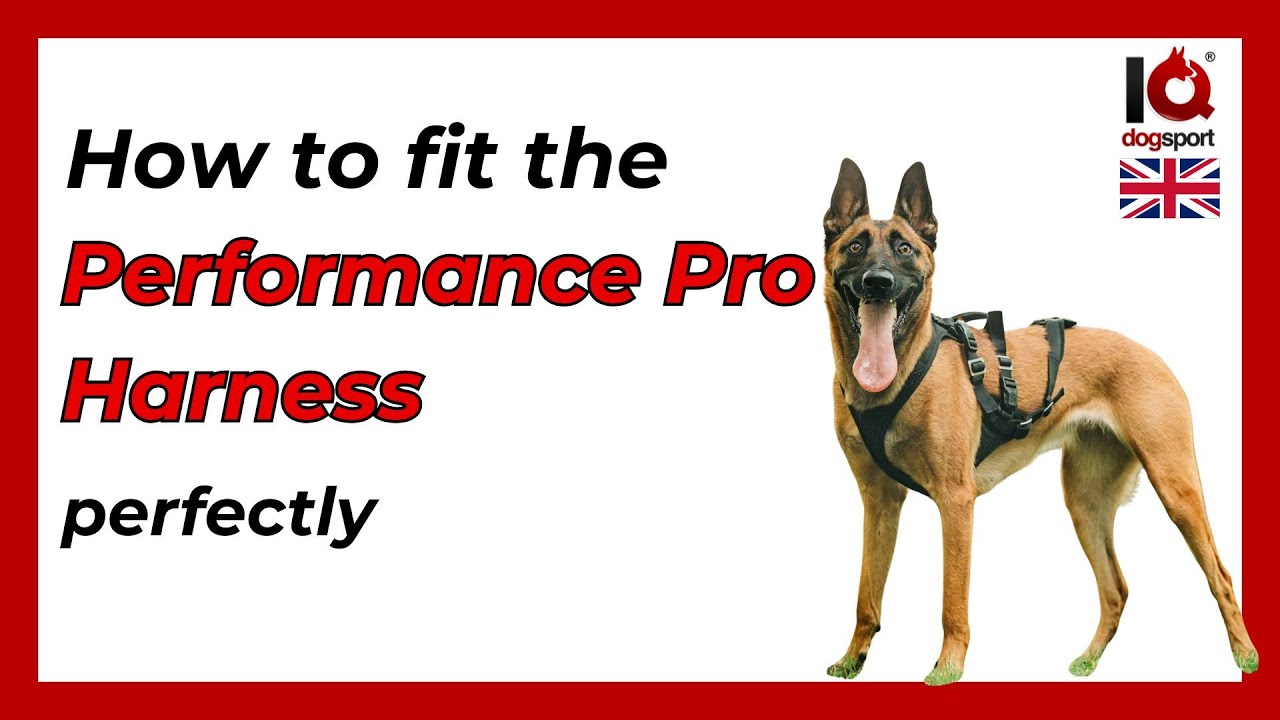 How to achieve a perfect fit - IQ Performance Pro