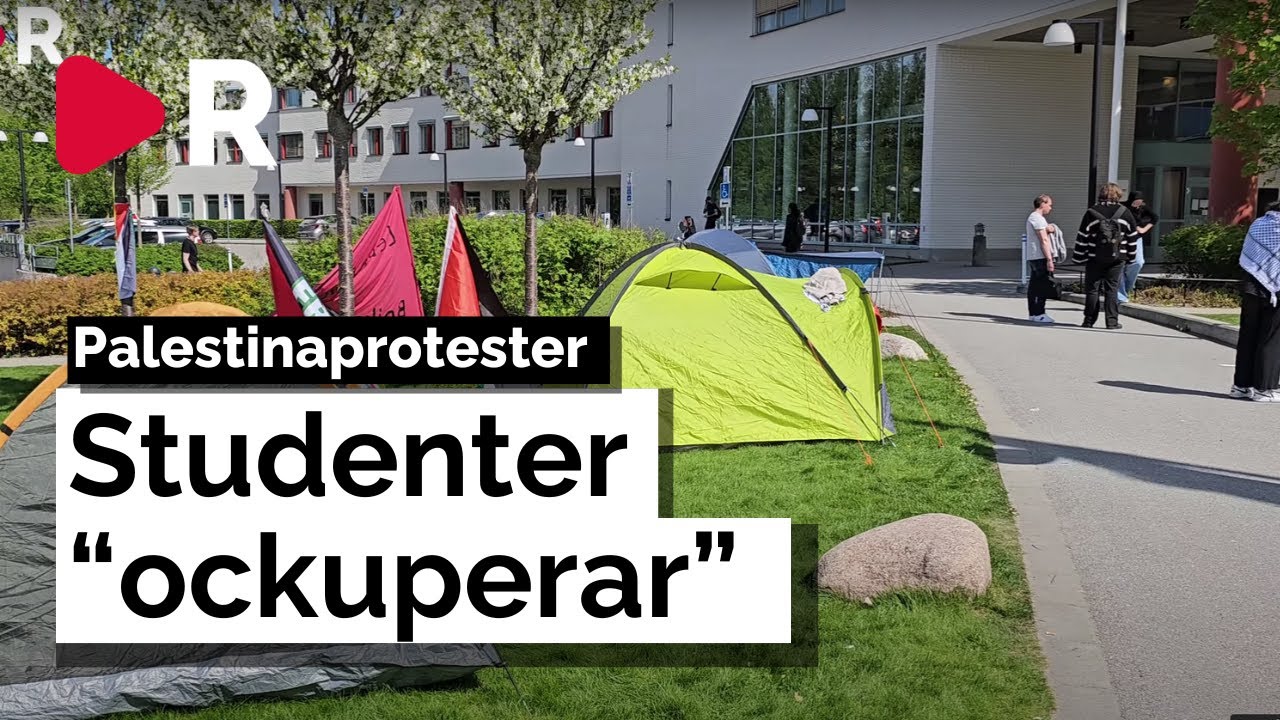 Studenter 