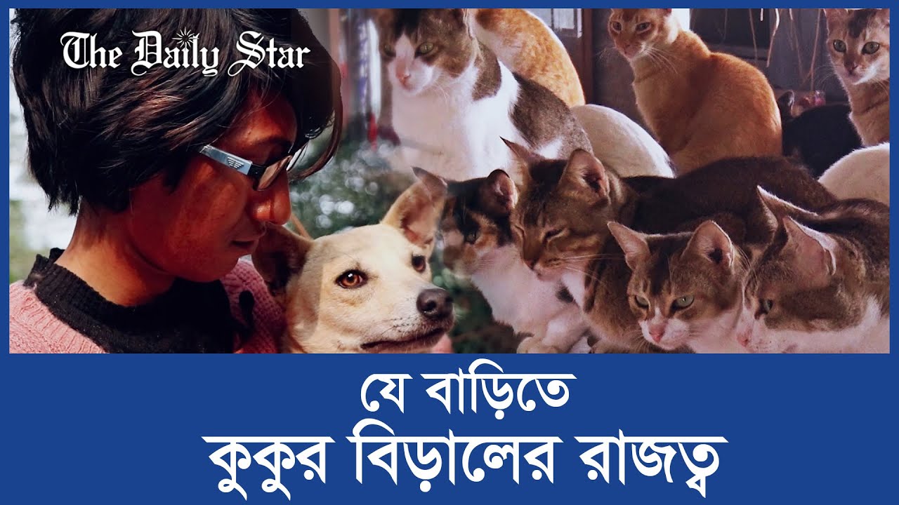 যে বাড়ি কুকুর-বিড়ালের নিরাপদ আশ্রয়কেন্দ্র!