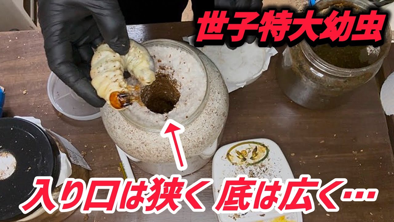 大型を出すカギはエサ切れにあり？！