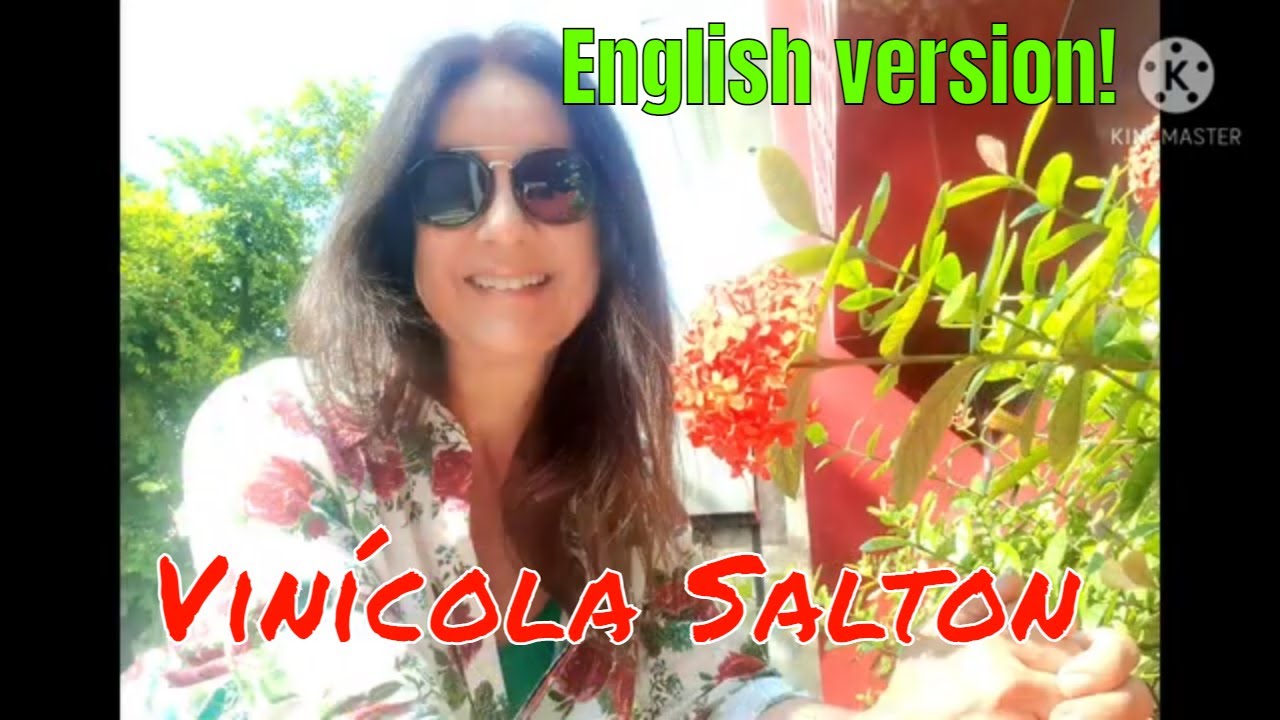 VINHOS SALTON E VIN&Iacute;COLA FAM&Iacute;LIA SALTON
