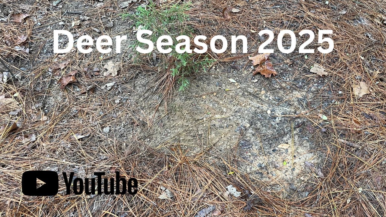 2025 Deer Season (End of December hunts 2)