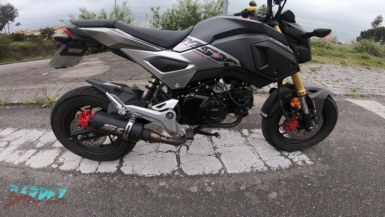 🔥 Honda MSX  GROM SC Project Replica 🔥