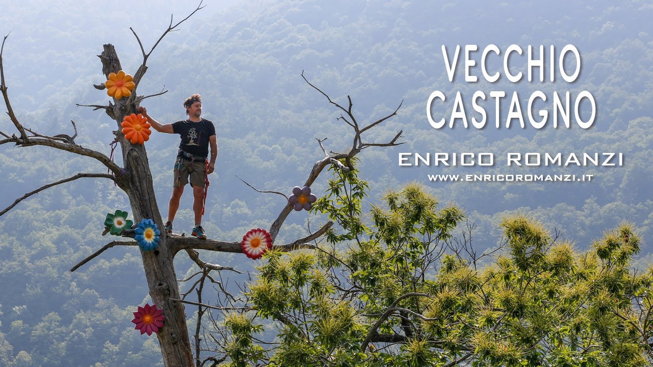 VECCHIO CASTAGNO (CHEMP)