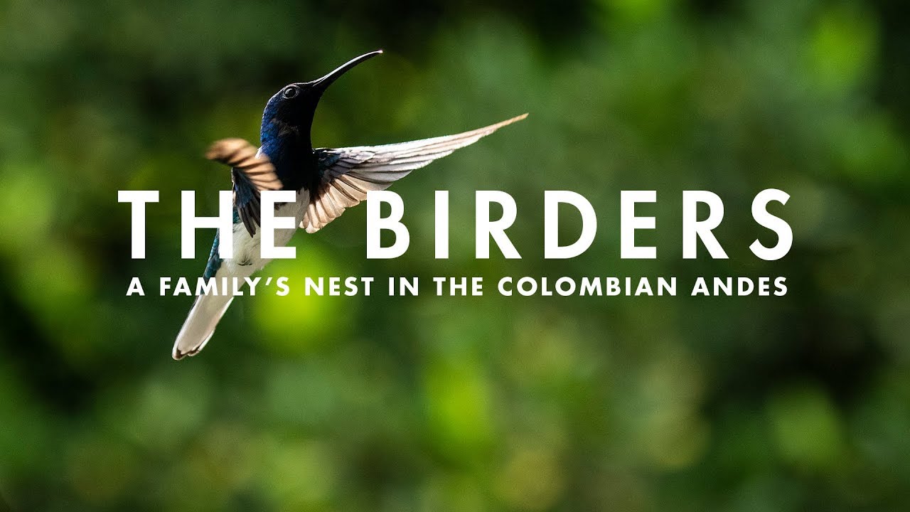 THE BIRDERS | A family's nest in the Colombian Andes.