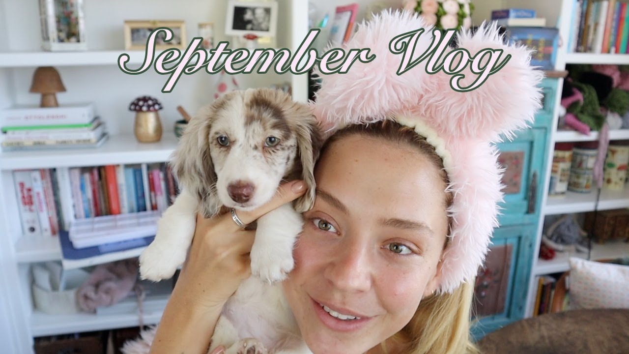 Сентябрьский видеоблог // новый щенок, балет и многое другое!