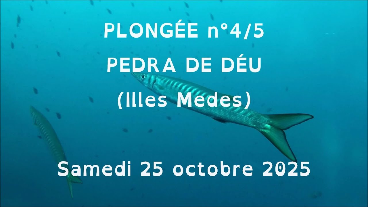 L'ESTARTIT oct 2025 - Plongée 4I5 - Pedra de Déu