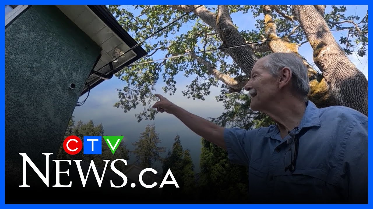 B.C. man captures mysterious fairy-like figure on security camera
