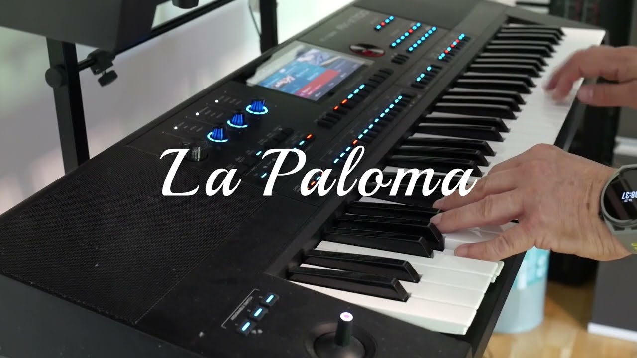 La Paloma - Using The Velocity Sensitive Arranger On The Thomann AK-X 1100 / Medeli AKX 10 Keyboard